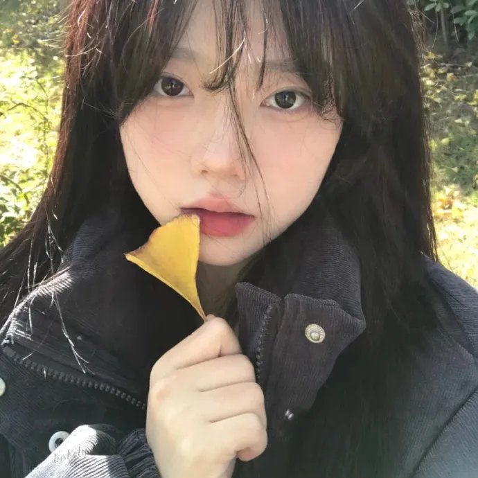 兔子谜题